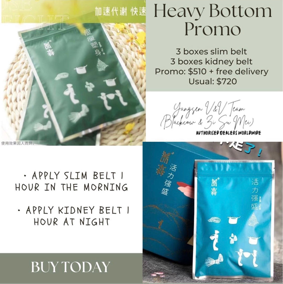 (Preorder) Kidney Belt 肾带