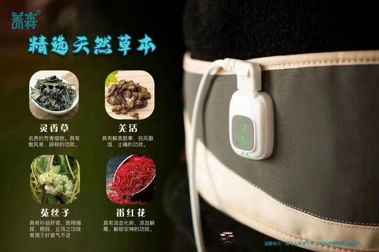 (Preorder) Kidney Belt 肾带