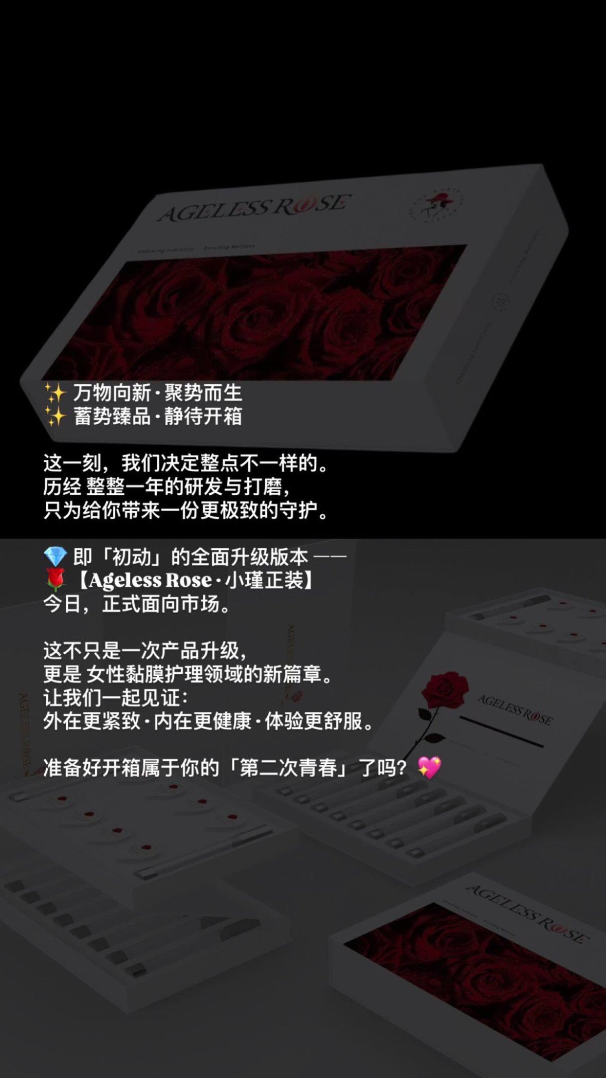 NEW Ageless Rose Set 时光小瑾套盒