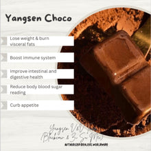 Load image into Gallery viewer, Fat Burning Chocolate 甘油二酯油粉代可可脂巧克力制品 🍫
